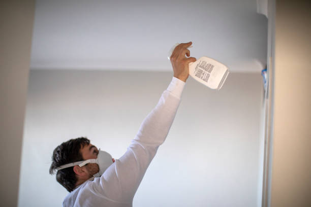 Reliable St Henry, OH Mold Removal Solutions