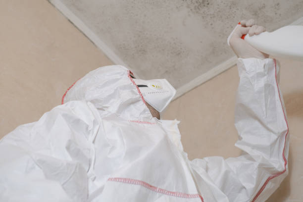St Henry, OH Mold Removal Company