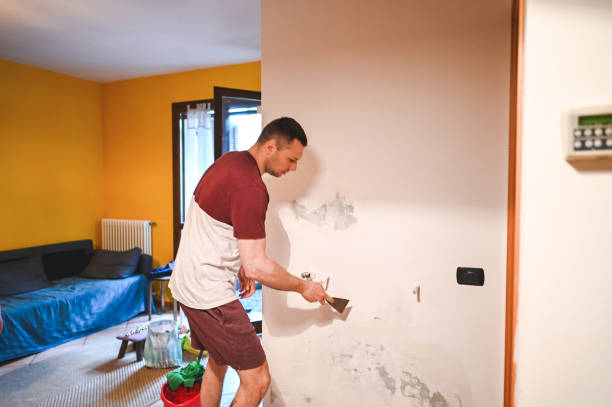 Best Certified Mold Removal  in St Henry, OH